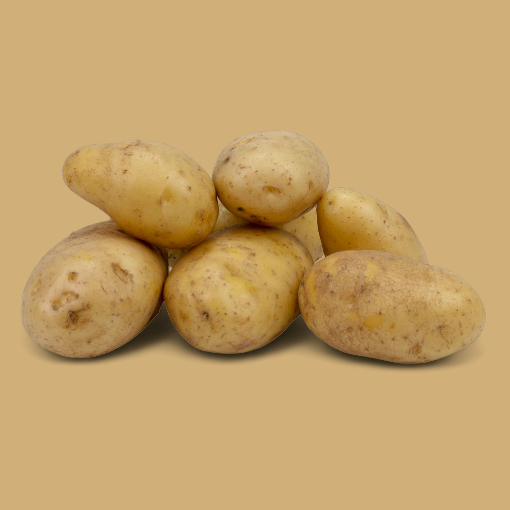 Aardappelen Nicola