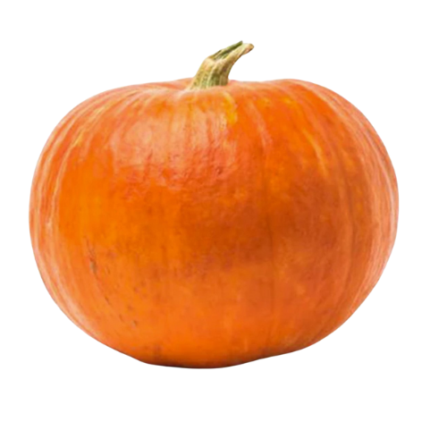 Oranje pompoen