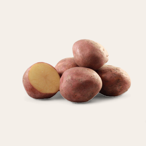 Aardappelen Bildstar
