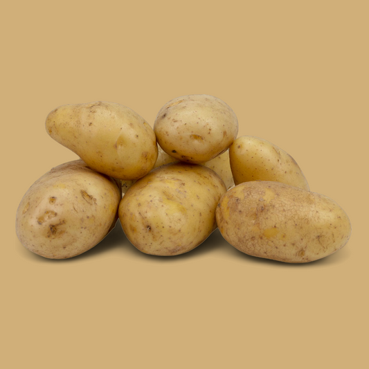 Aardappelen Nicola